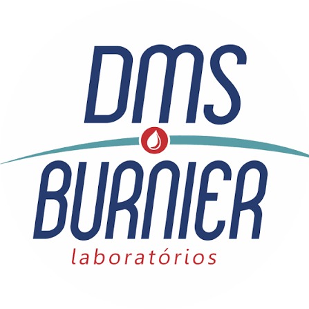 Logotipo de cliente DSL Log